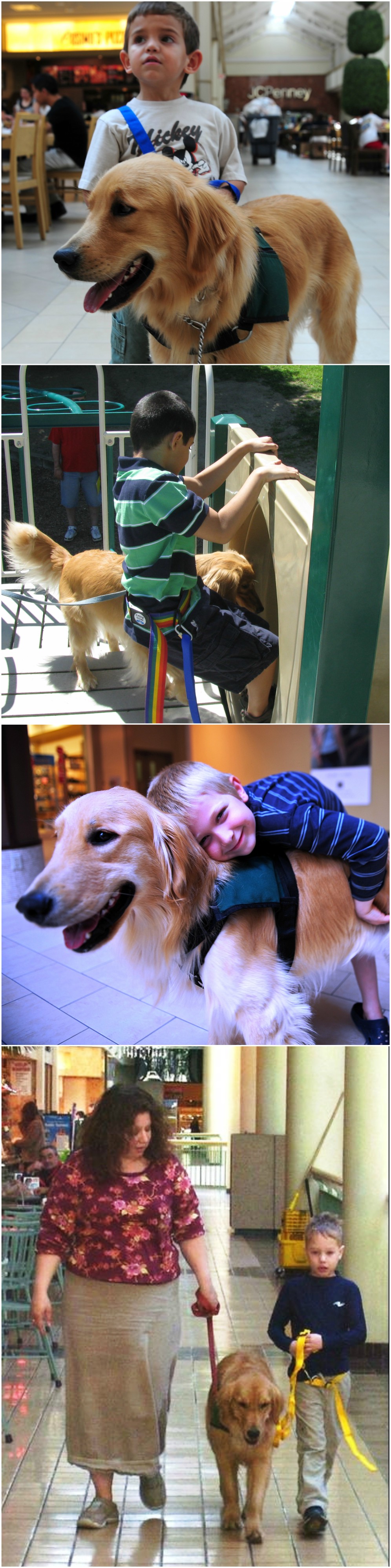 Service Dogs for children with Autism