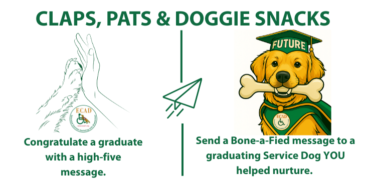 Celebrate Your Graduates