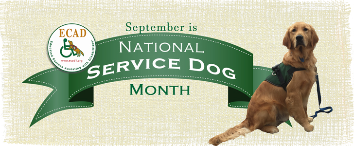 national service dog month1