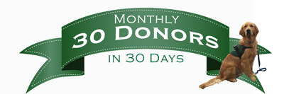 national-service-dog-month monthlydonor small